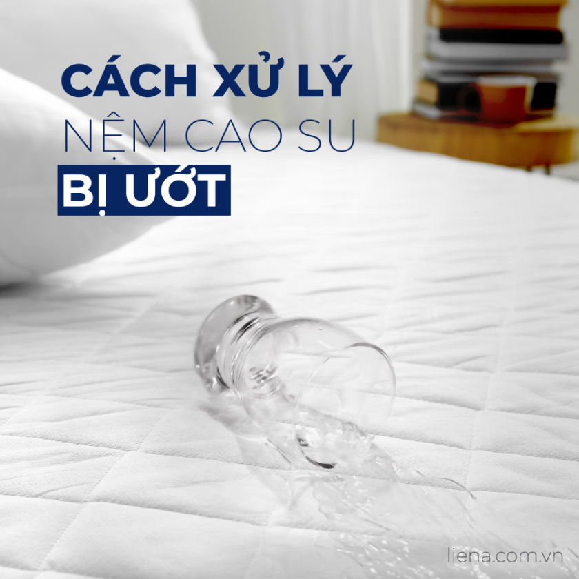 cách xử lý đệm cao su bị ướt