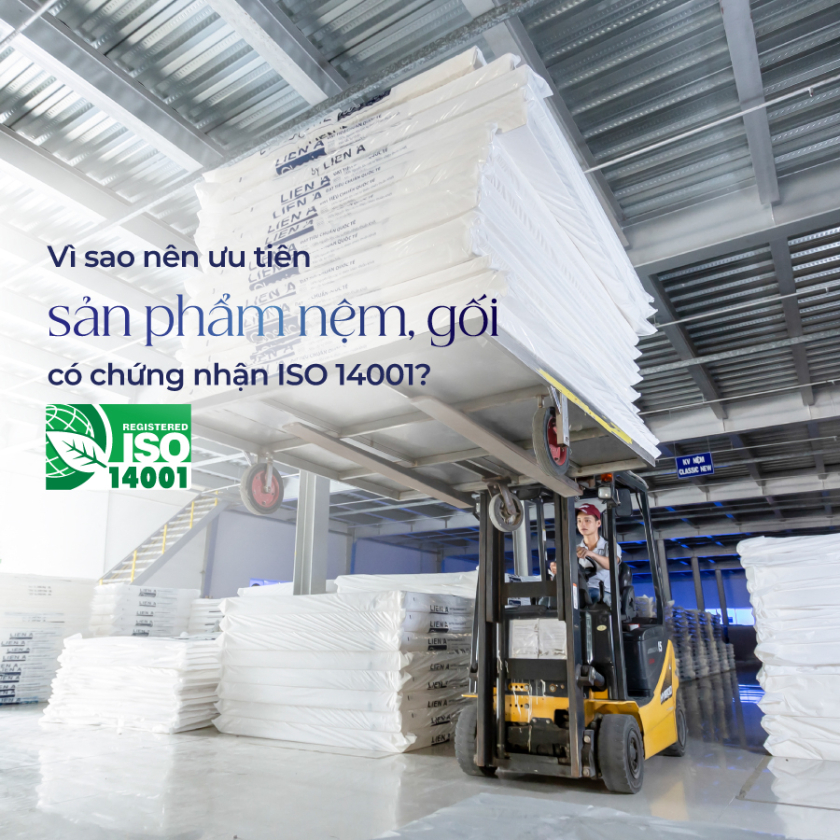 chọn nệm gối có chứng nhận iso 14001
