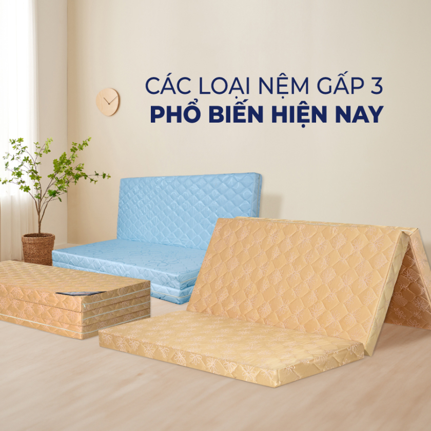 nệm gấp 3 bao nhiêu mét