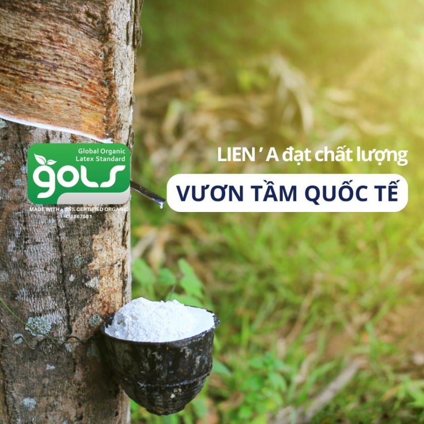 chứng nhận gols