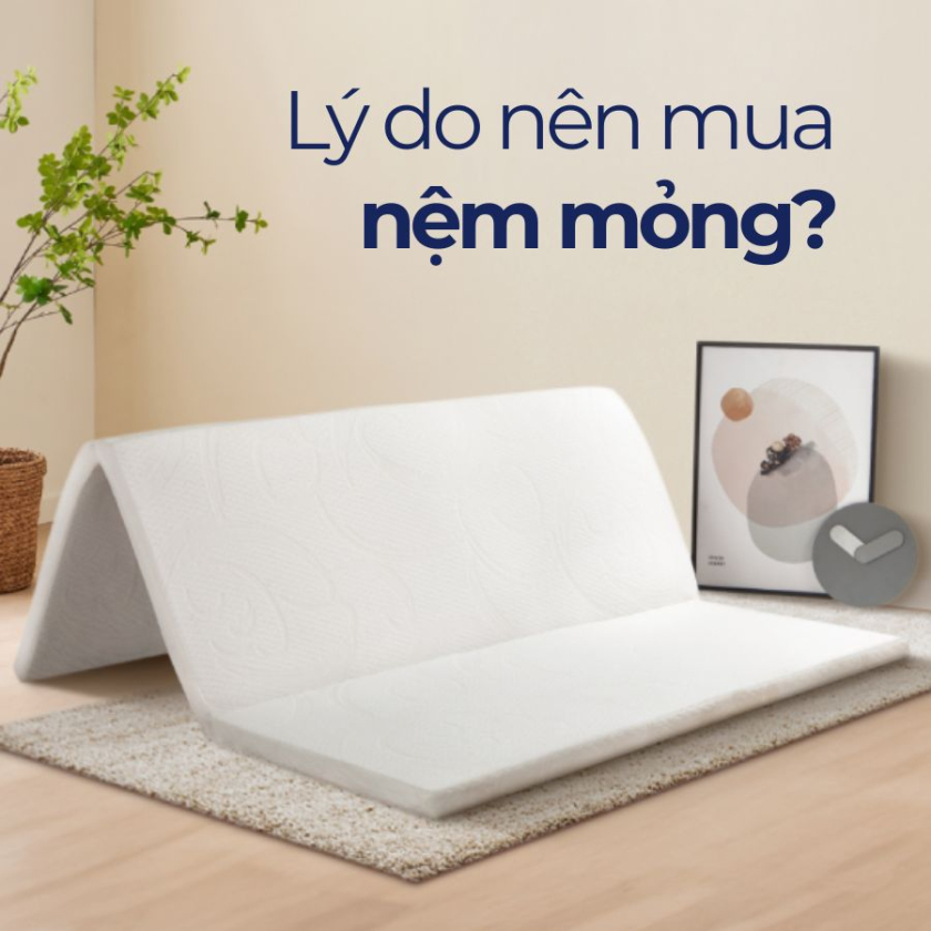 nệm mỏng