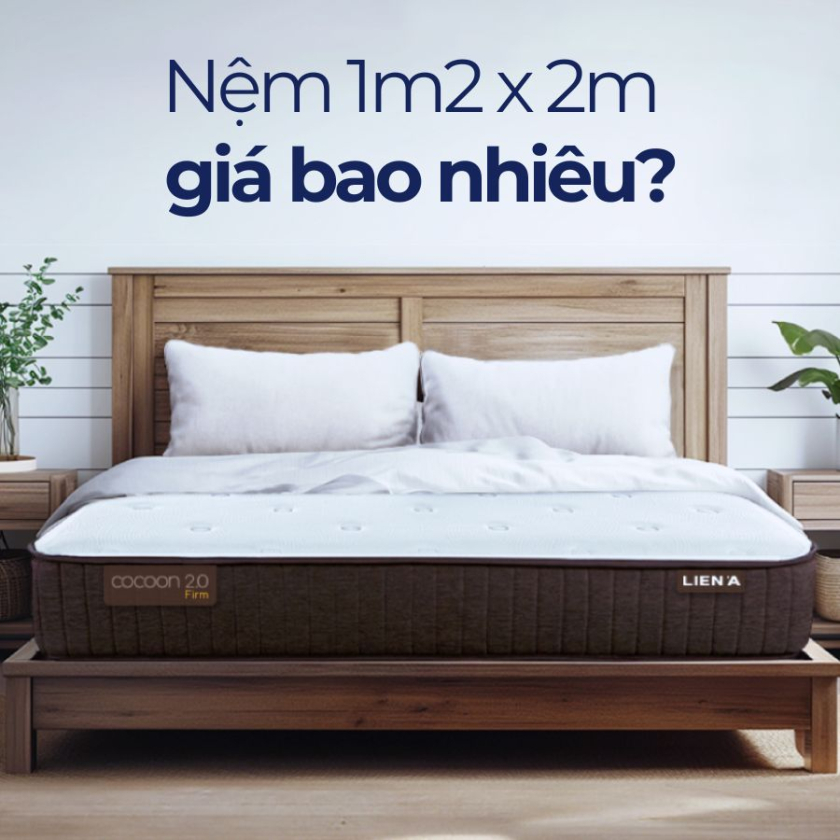 nệm 1m2 x 2m