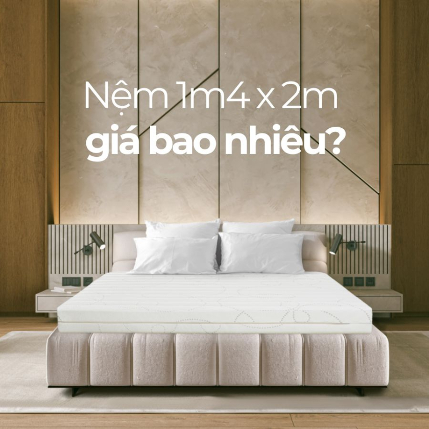 nệm 1m4 x 2m
