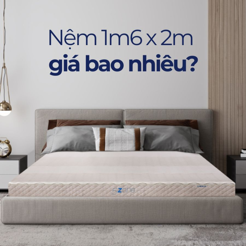nệm 1m6 x 2m