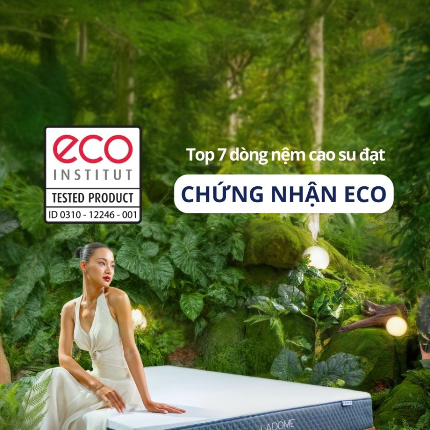 nệm cao su có chứng nhận eco