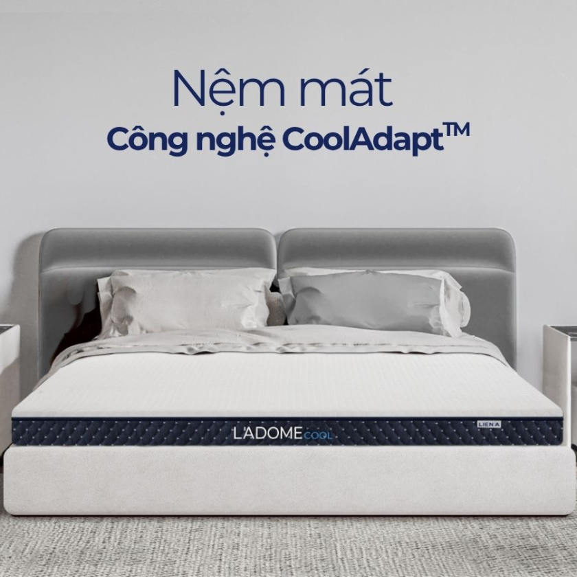 nệm mát