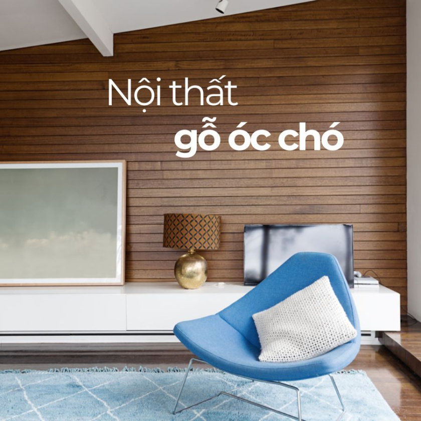 gỗ óc chó