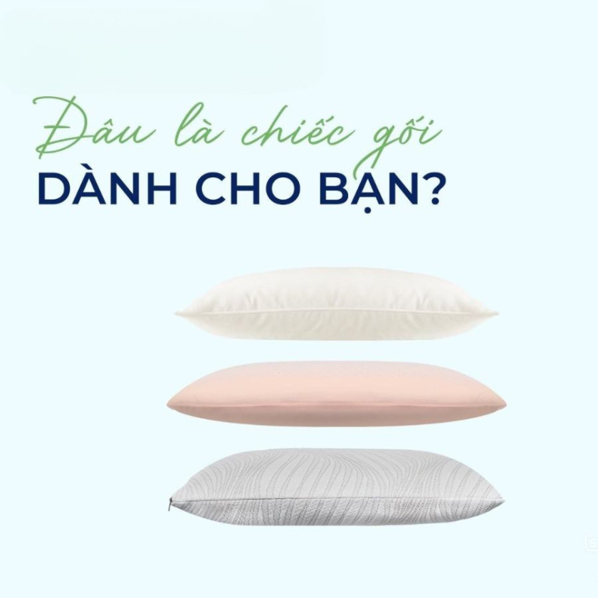 nên nằm gối gòn tơ hay gối cao su