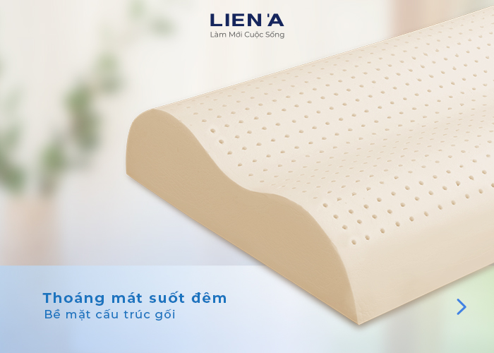 gối cao su liên á